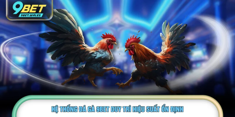 Hệ thống đá gà 9BET duy trì hiệu suất ổn định 