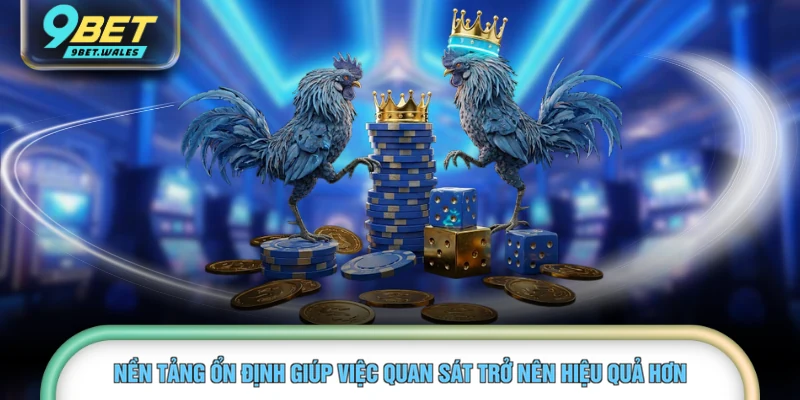 Nền tảng ổn định giúp việc quan sát trở nên hiệu quả hơn