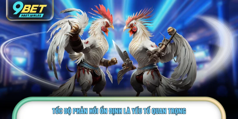 Tốc độ phản hồi ổn định là yếu tố quan trọng 